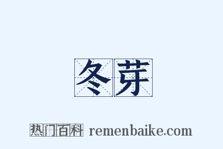 冬芽是什么意思的图片